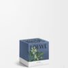 Small Ivy Candle Small Ivy Candle