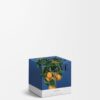 Small Orange Blossom Candle Small Orange Blossom Candle