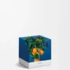 Small Orange Blossom Candle Small Orange Blossom Candle