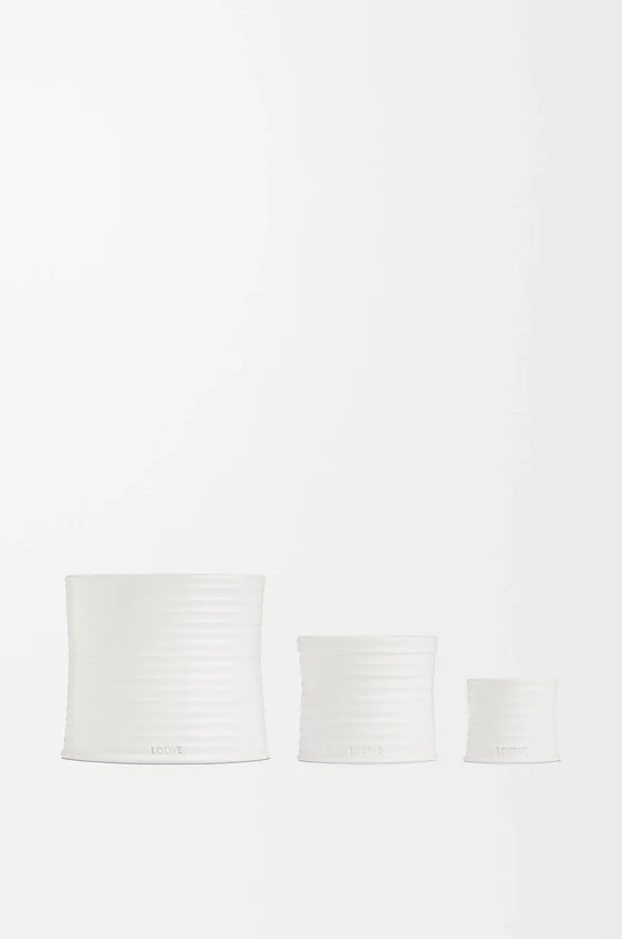Small Oregano Candle Small Oregano Candle