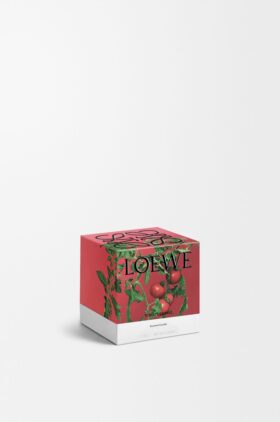 Small Tomato Leaves Candle