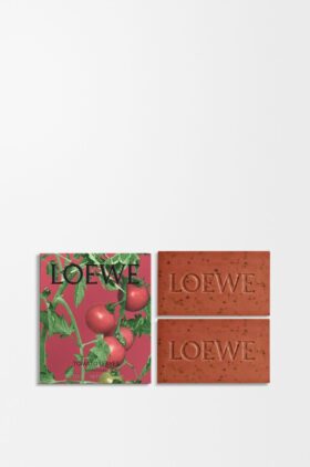 Tomato Leaves Soap Bar Duo Set