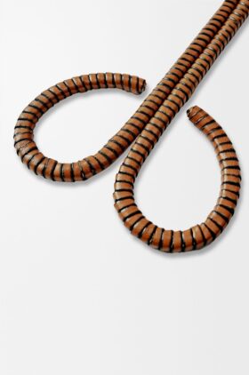 Wick Trimmer